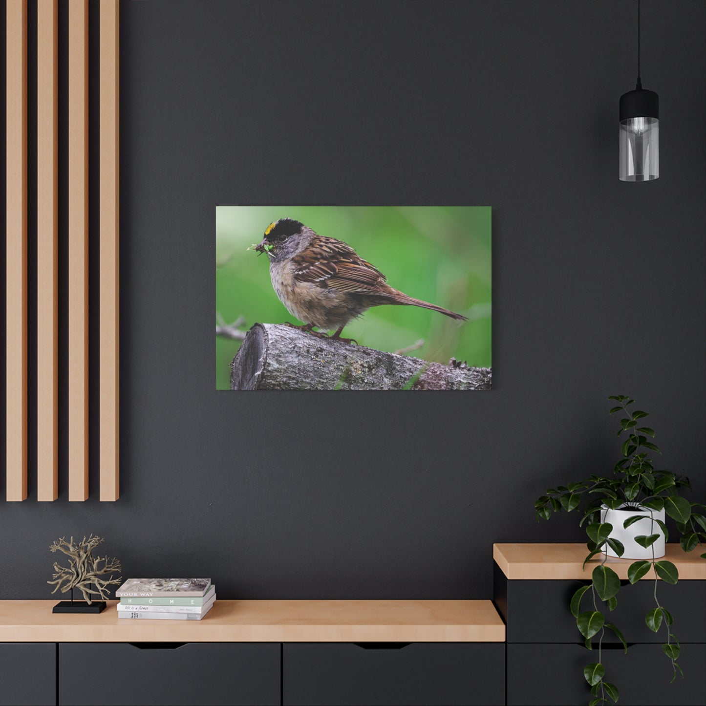 Golden-Crowned Sparrow Canvas Print — Matte Stretched Wall Art