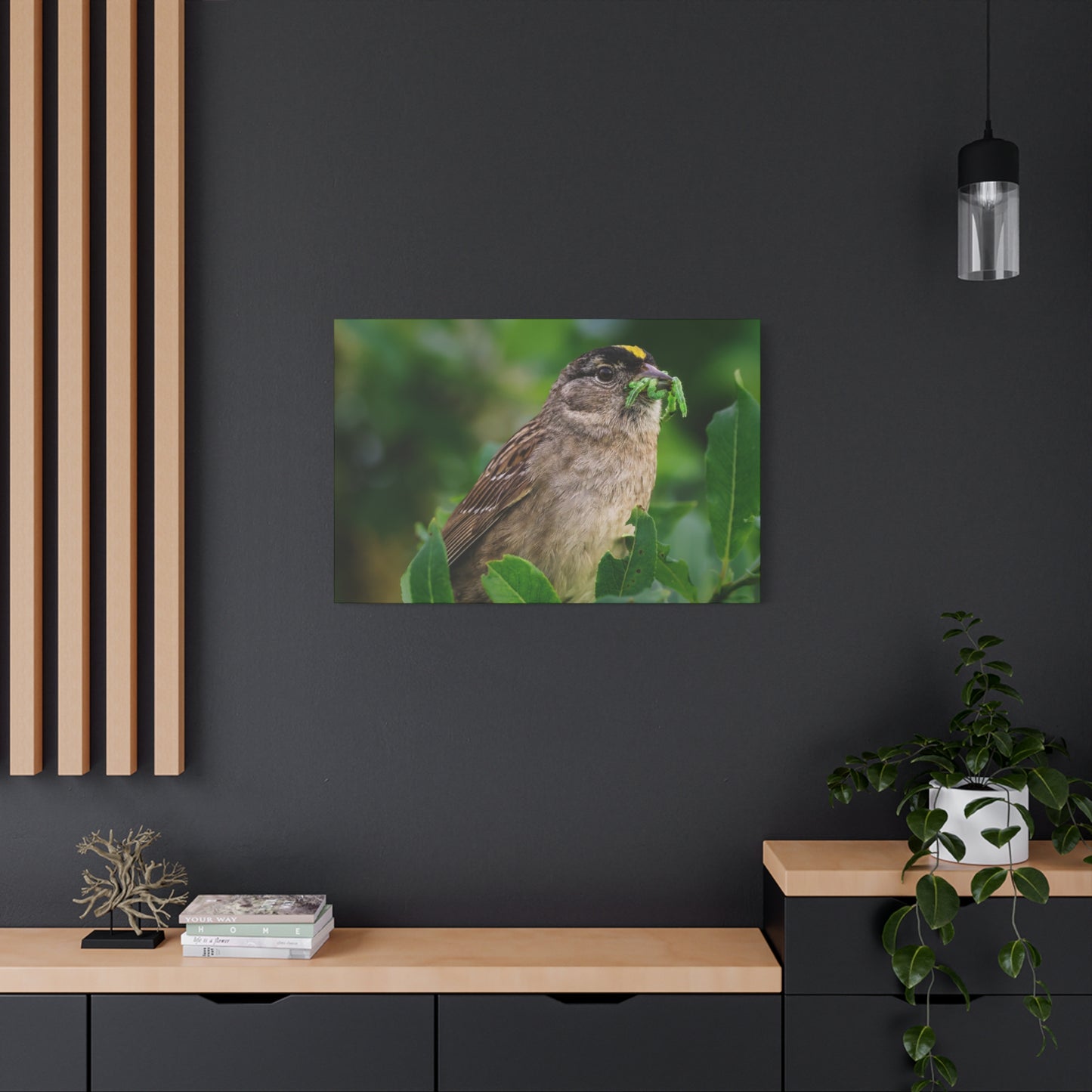 Golden-Crowned Sparrow Canvas Print, Bird Photography Wall Art