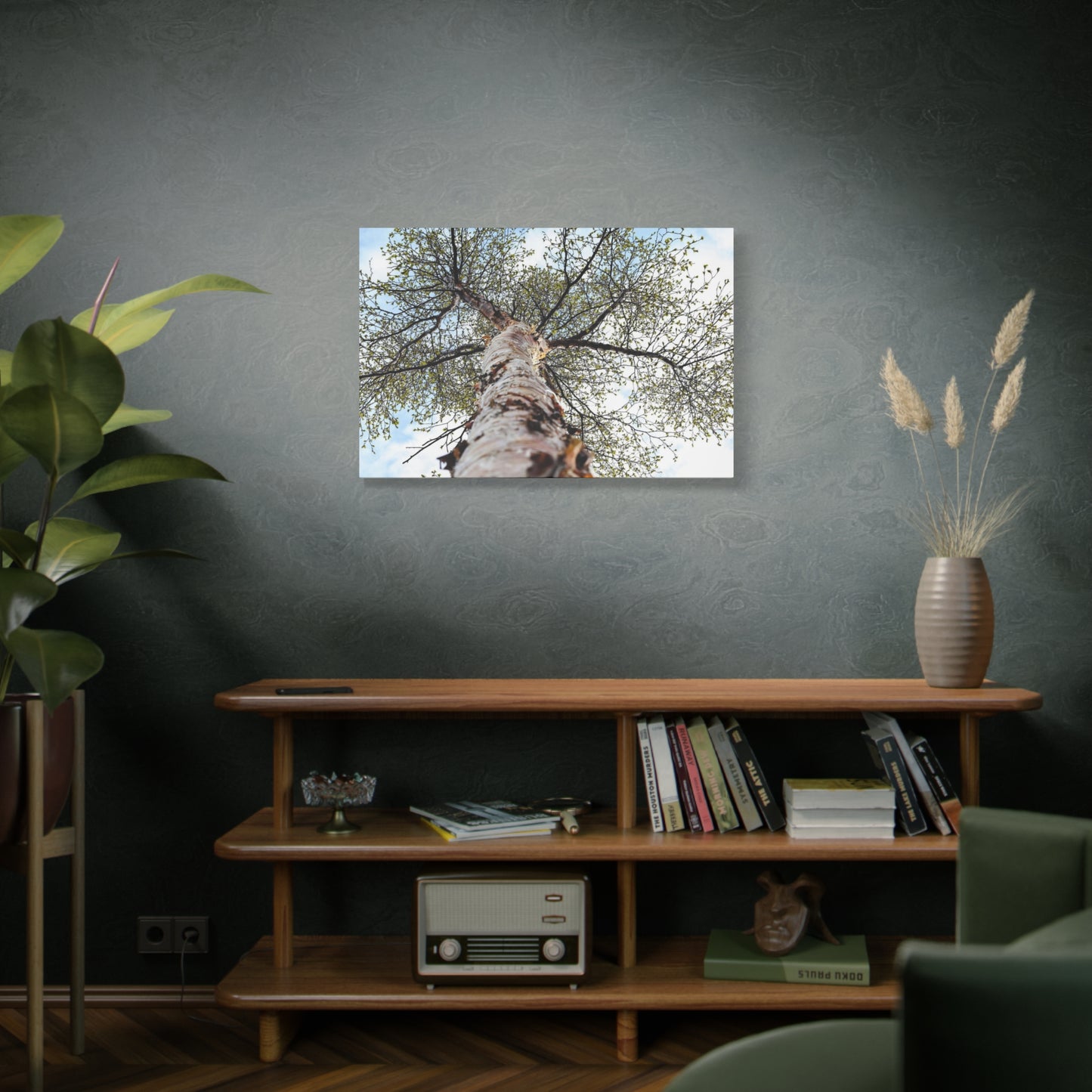 Looking Up Through Birch Light ~ Matte Canvas Print
