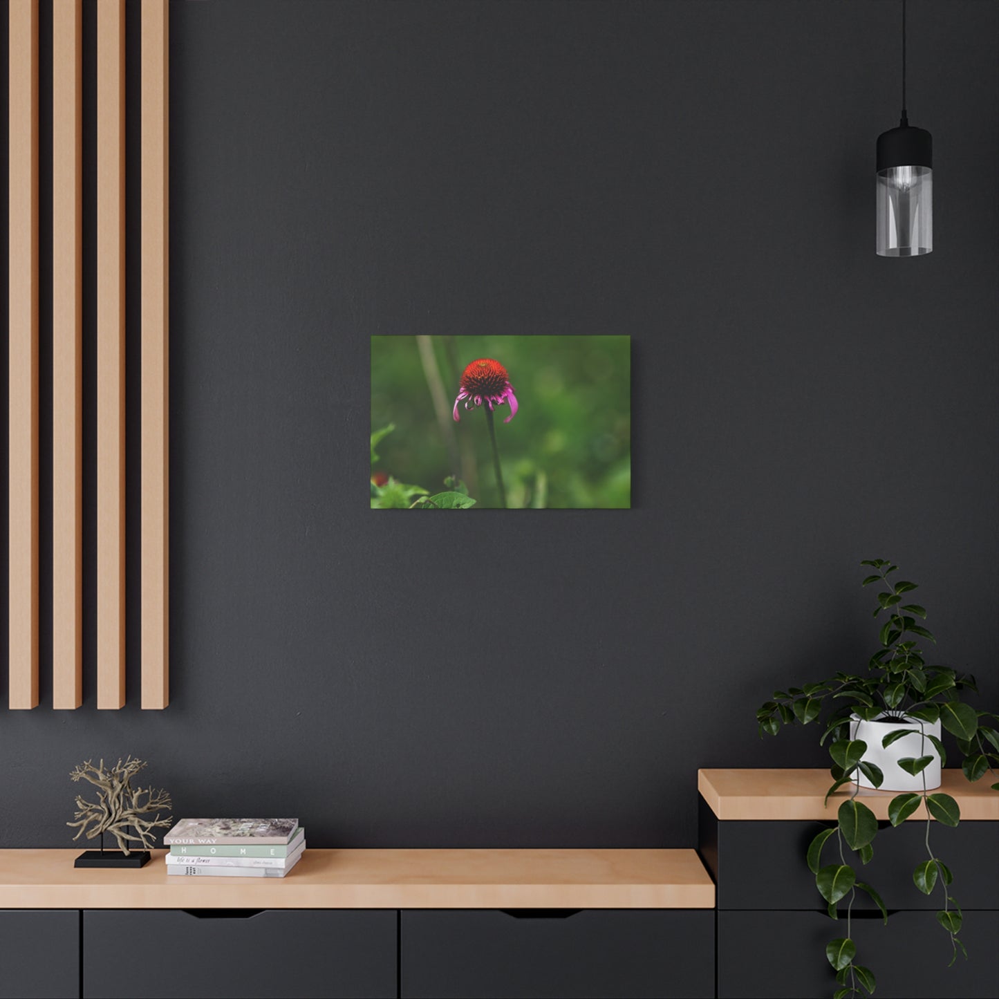 Echinacea Wildflower Canvas Print — Matte Stretched Wall Art