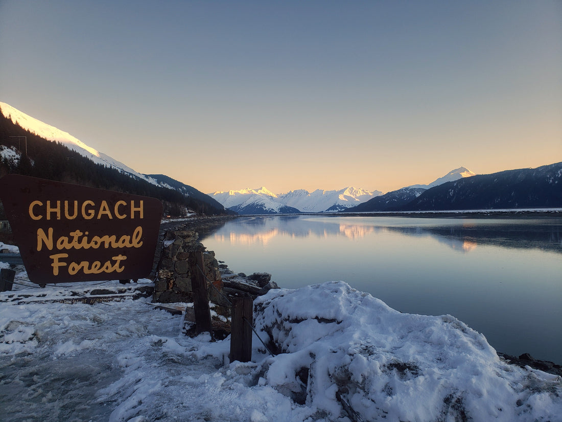 Called by the Mountains, Held by the Sea | A Seward Highway Alaska Story