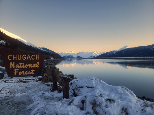 Called by the Mountains, Held by the Sea | A Seward Highway Alaska Story