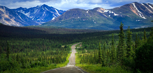 Where the Road Slows You Down ~ A Journey Along the Denali Highway