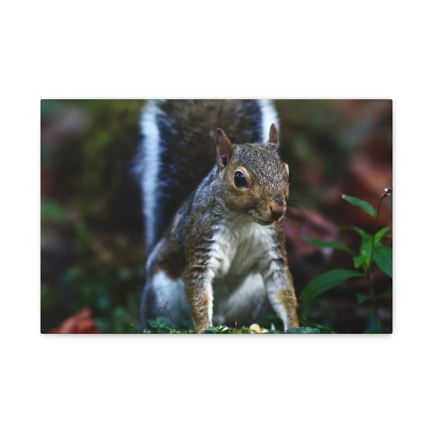 Squirrel Wildlife Matte Canvas Print — Woodland Nature Wall Art