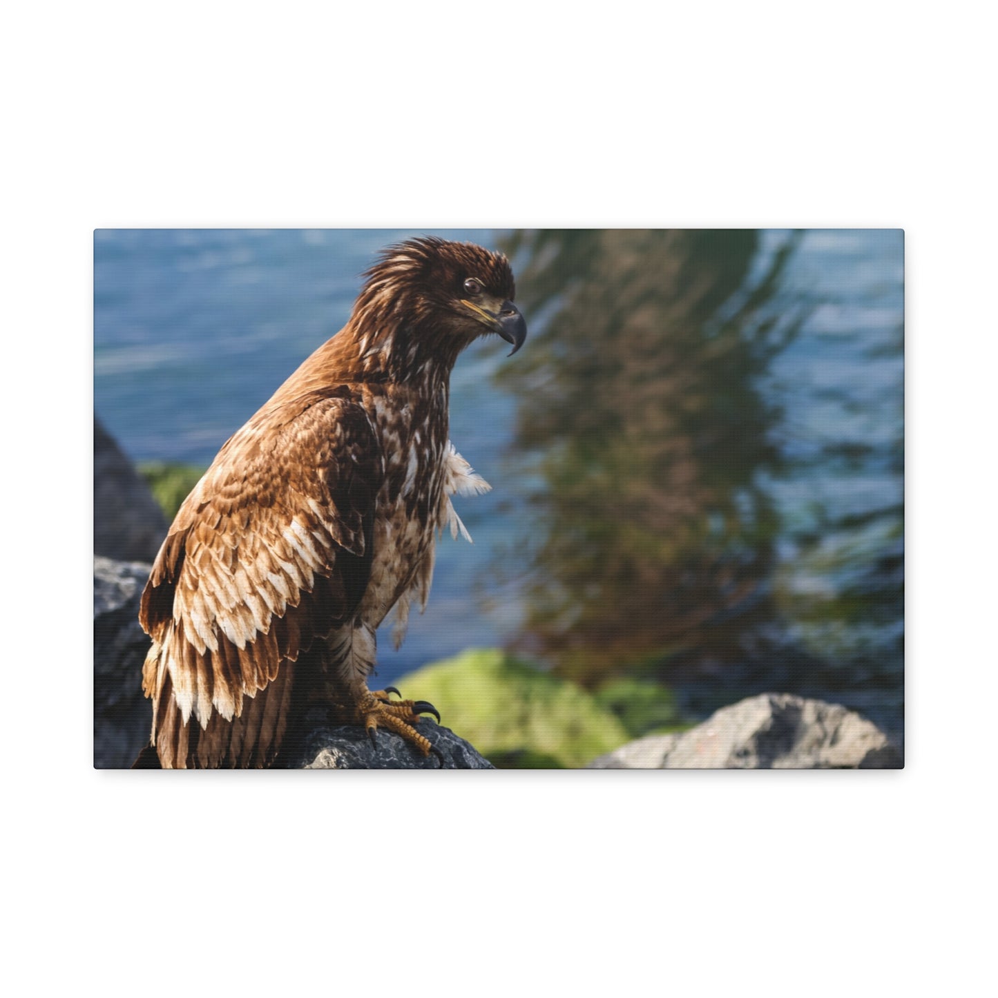 Bald Eagle Canvas Print — Coastal Wildlife Matte Stretched Art