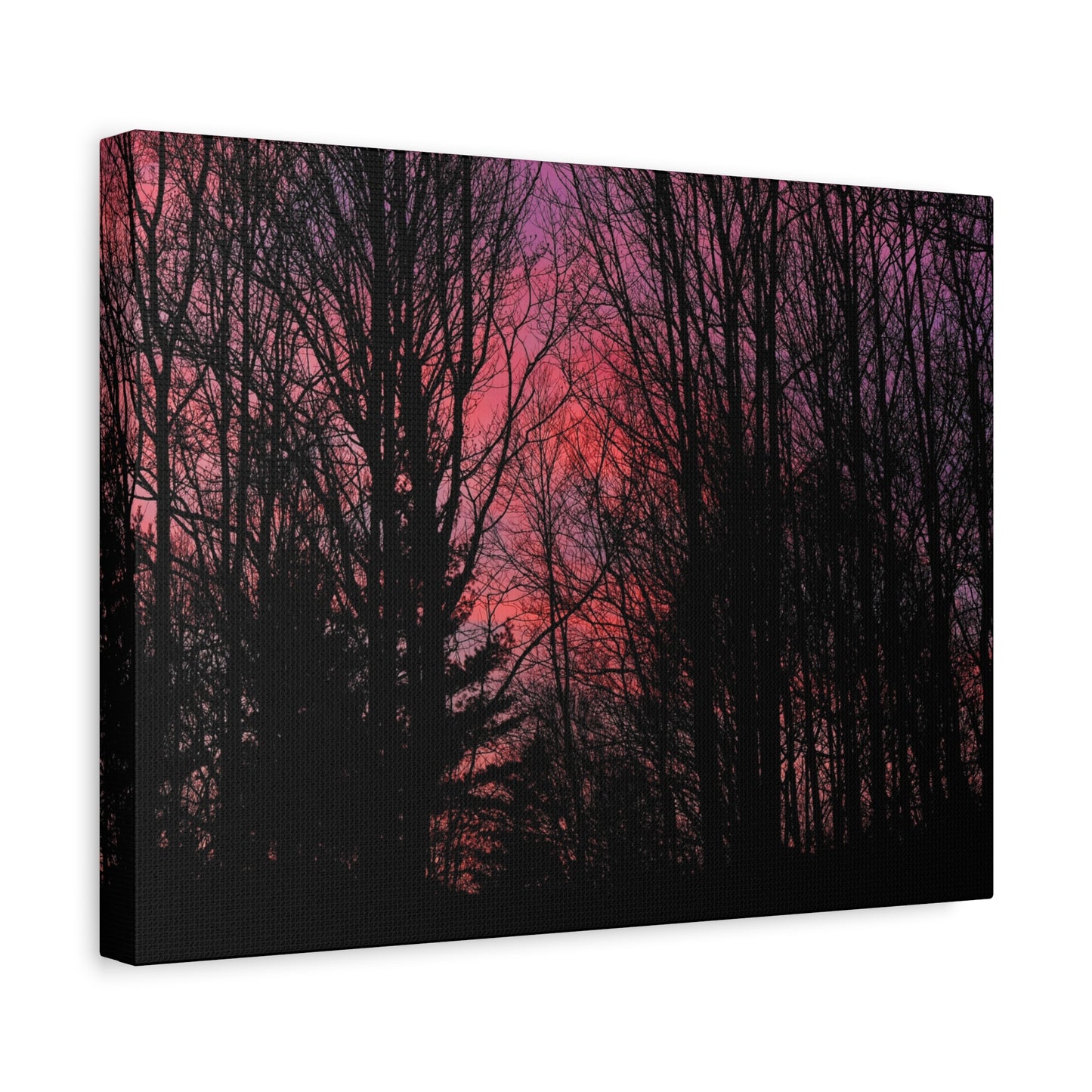 Twilight Forest Silhouette, Soft Pink Sky Print, Calm Moody Nature Wall Art