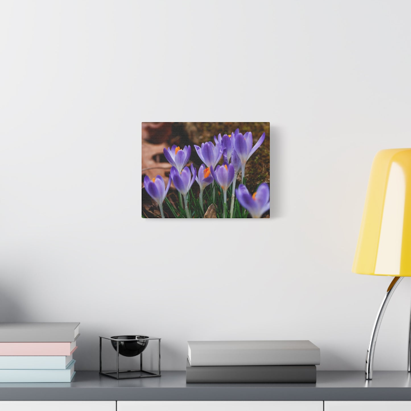 Purple Crocus Flower Canvas Stretched Matte Canvas