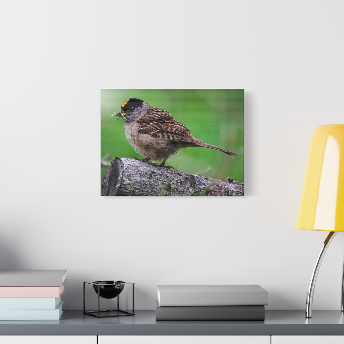 Golden-Crowned Sparrow Canvas Print — Matte Stretched Wall Art