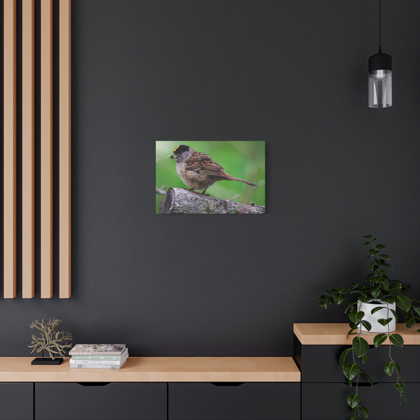 Golden-Crowned Sparrow Canvas Print — Matte Stretched Wall Art