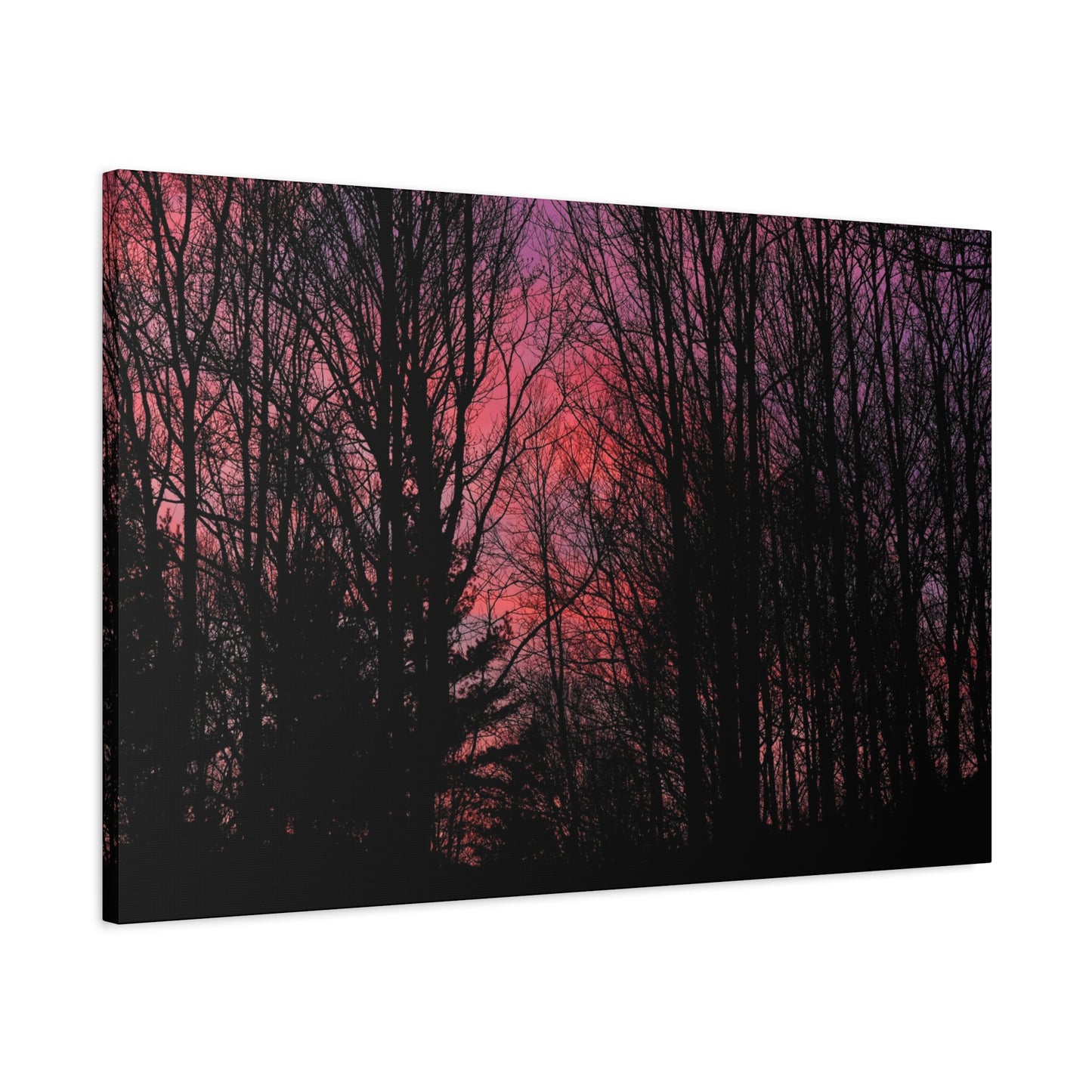 Twilight Forest Silhouette, Soft Pink Sky Print, Calm Moody Nature Wall Art