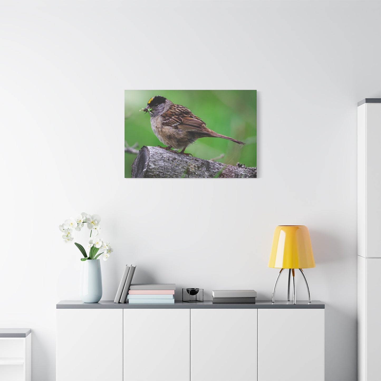 Golden-Crowned Sparrow Canvas Print — Matte Stretched Wall Art