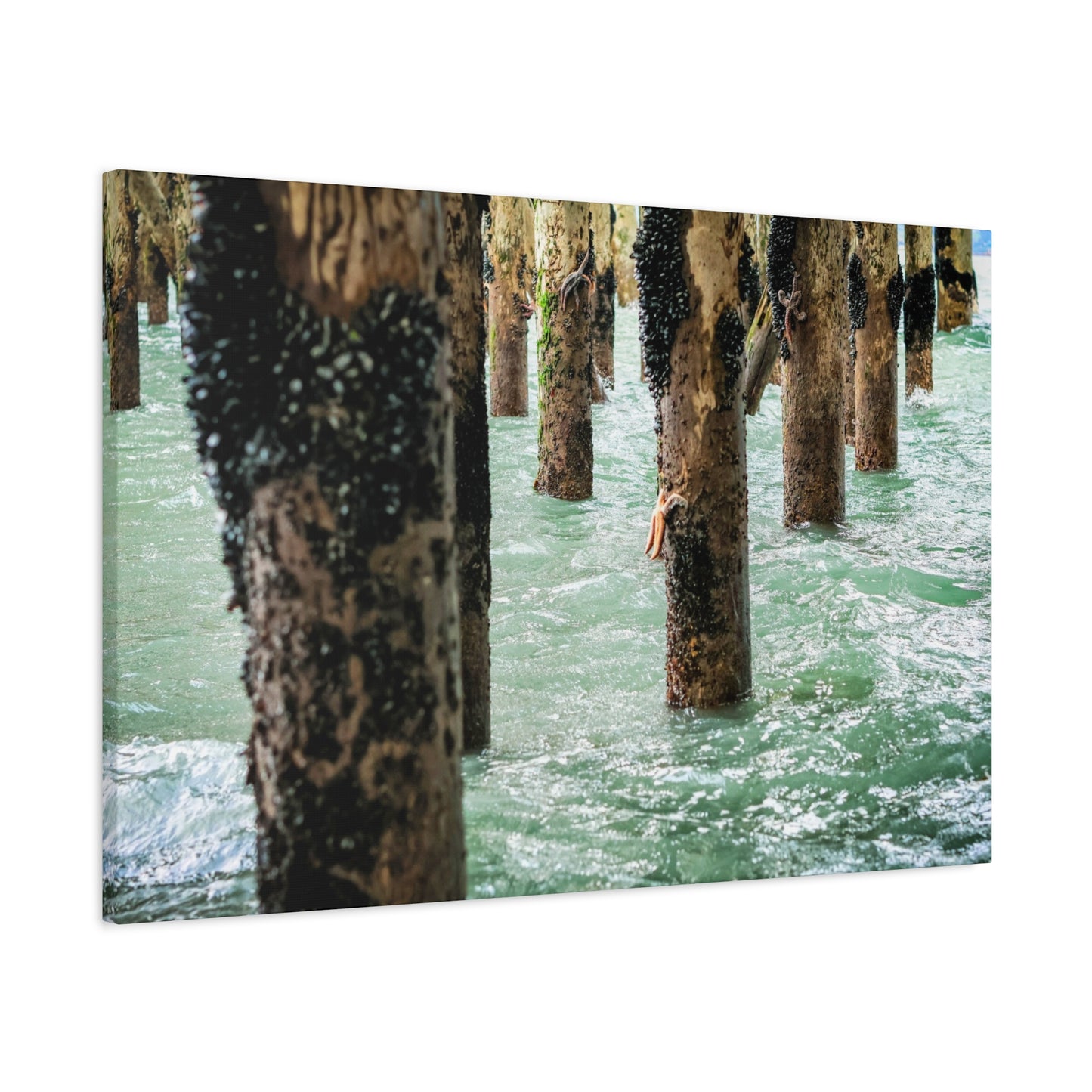 Coastal Pier Photo Canvas – Moody Ocean Pilings Wall Art