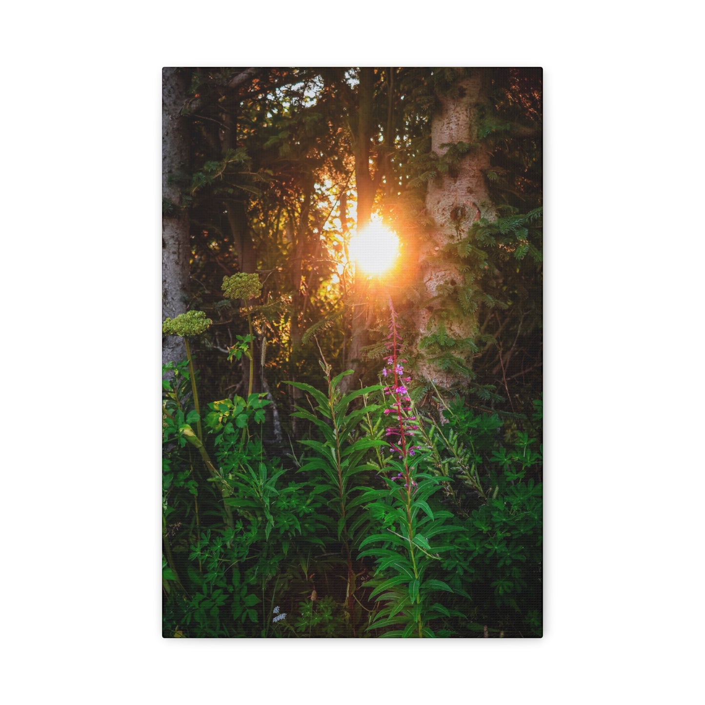 Sunlit Forest Wildflower Canvas Print — Matte Stretched Wall Art