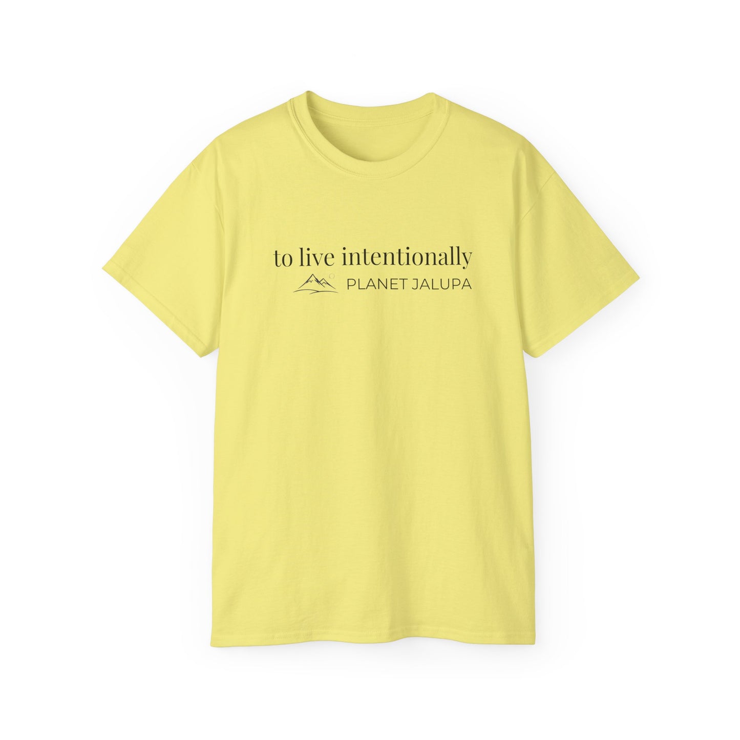 To Live Intentionally ~ Minimal Inspirational T-Shirt
