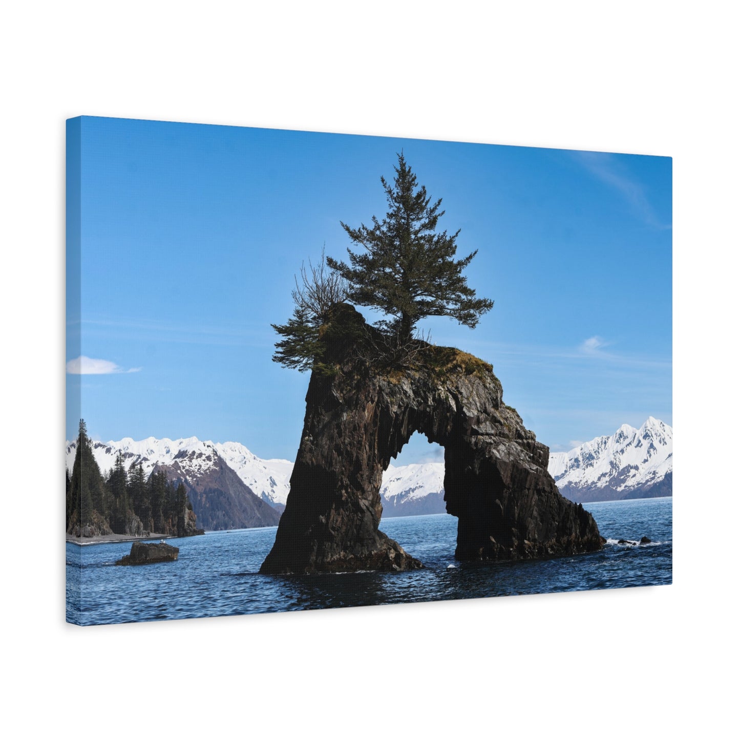 Quiet Passage ~ Kenai Fjords Sea Arch Canvas Print