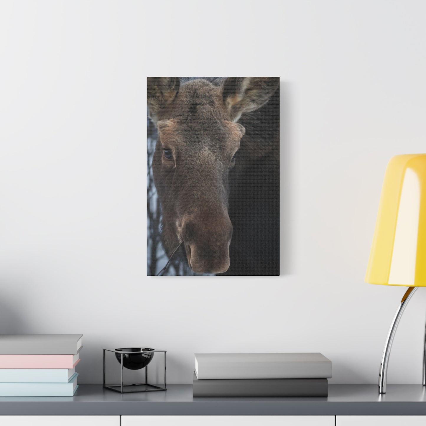 Moose Face Close-Up Matte Canvas Wall Art