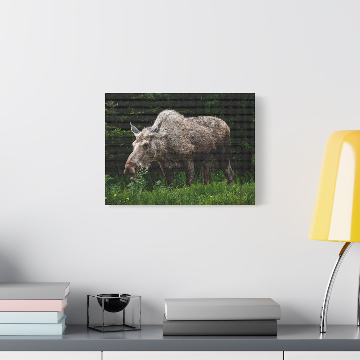 Wild Moose Matte Canvas Print — Rustic Forest Wildlife Wall Art