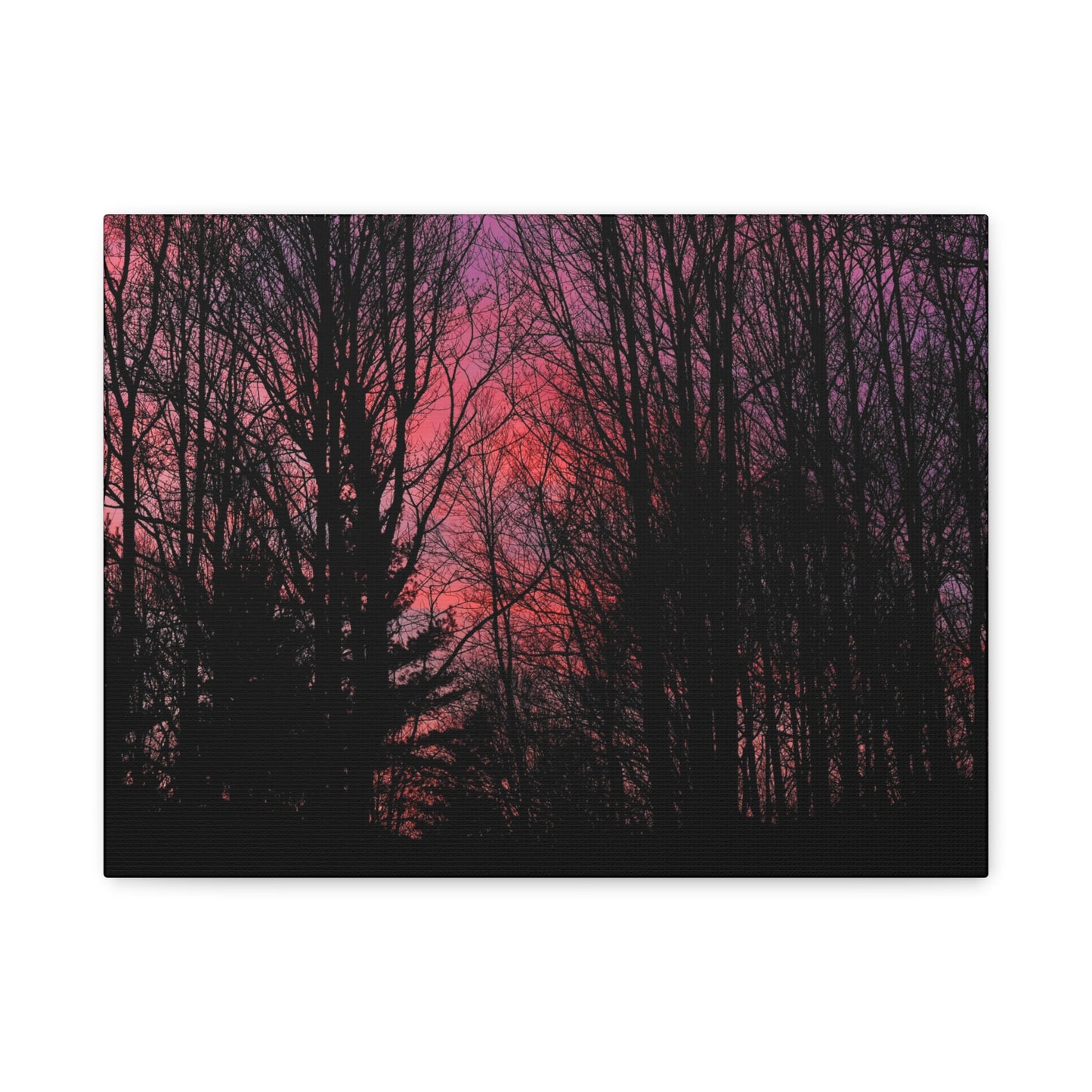 Twilight Forest Silhouette, Soft Pink Sky Print, Calm Moody Nature Wall Art