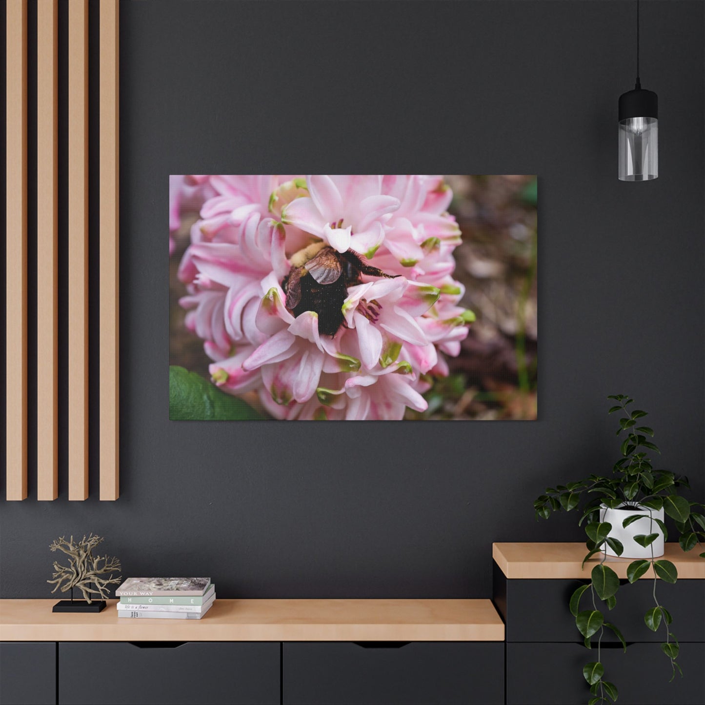 Pink Hyacinth Bee Canvas