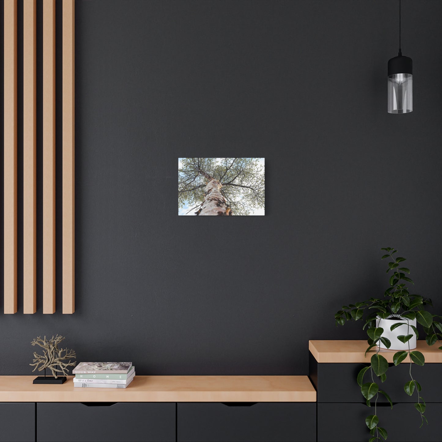 Looking Up Through Birch Light ~ Matte Canvas Print