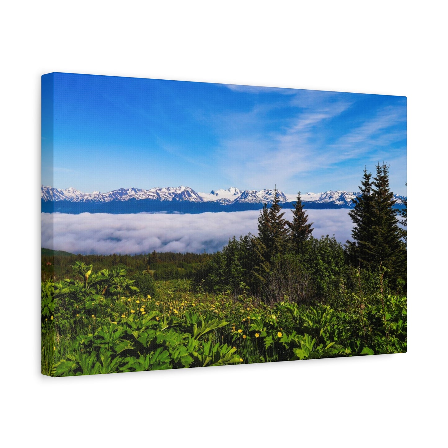 Mountain Meadow Canvas Wall Art ~ Panoramic Alaska Landscape Print