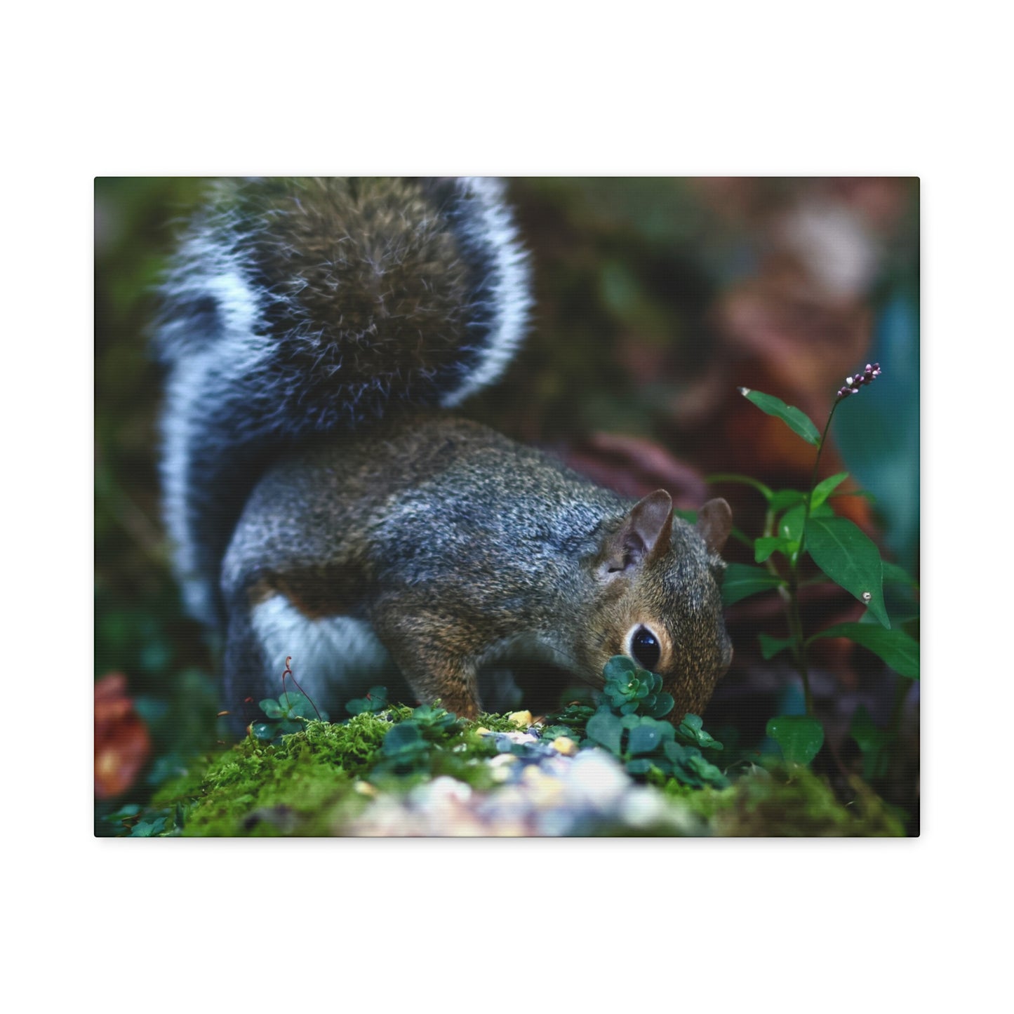 Squirrel Foraging Matte Canvas Print — Nature Wall Art, Wildlife Photography Stretched Canvas