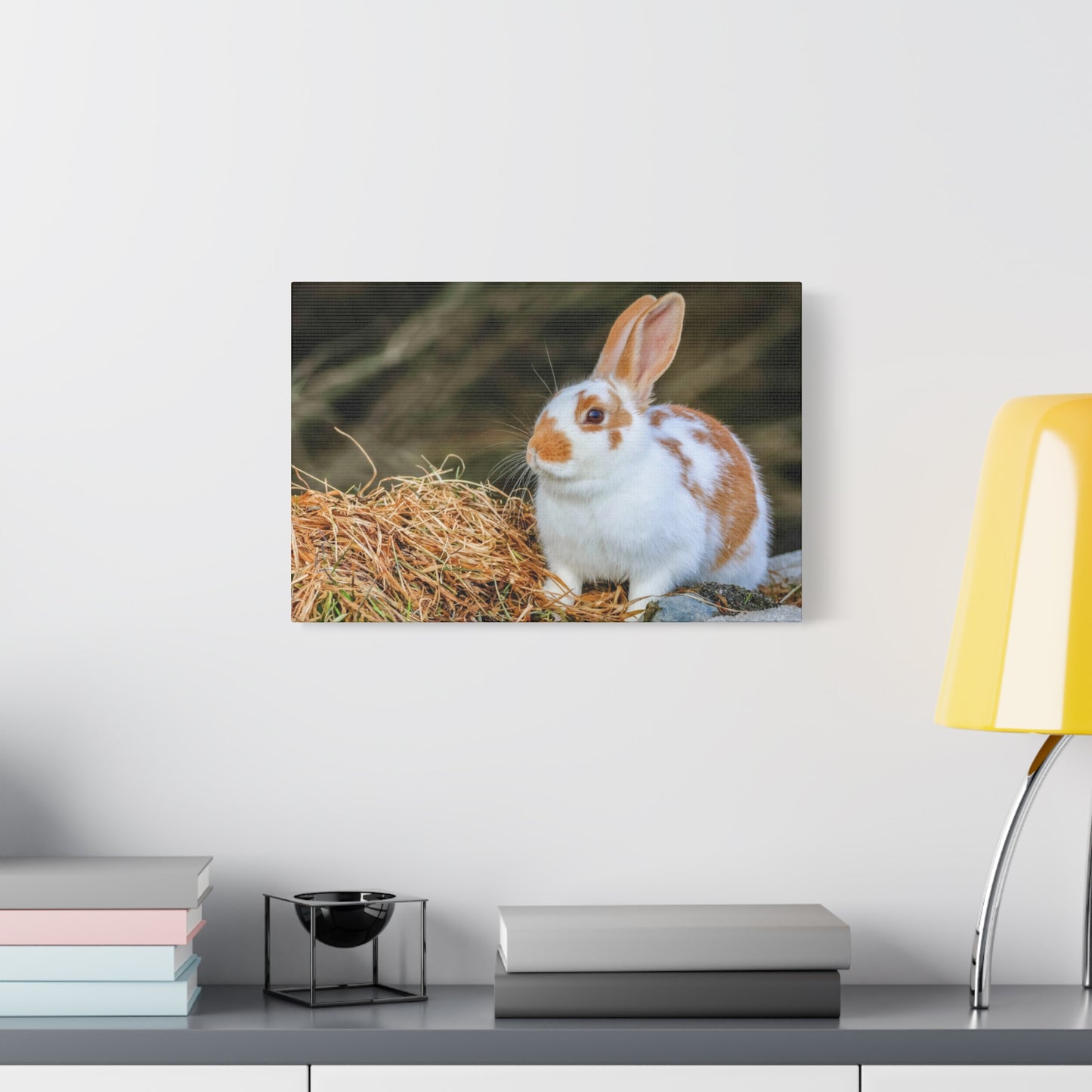 Rabbit Canvas Wall Art ~ Cute Brown & White Bunny Matte Stretched Canvas