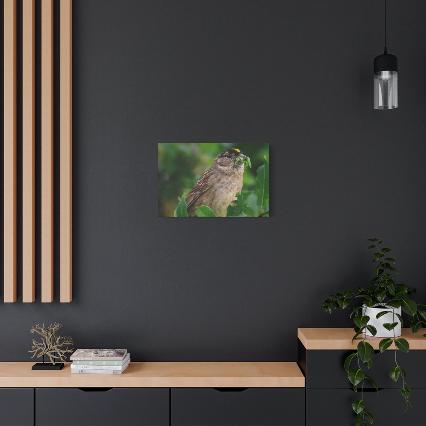 Golden-Crowned Sparrow Canvas Print, Bird Photography Wall Art