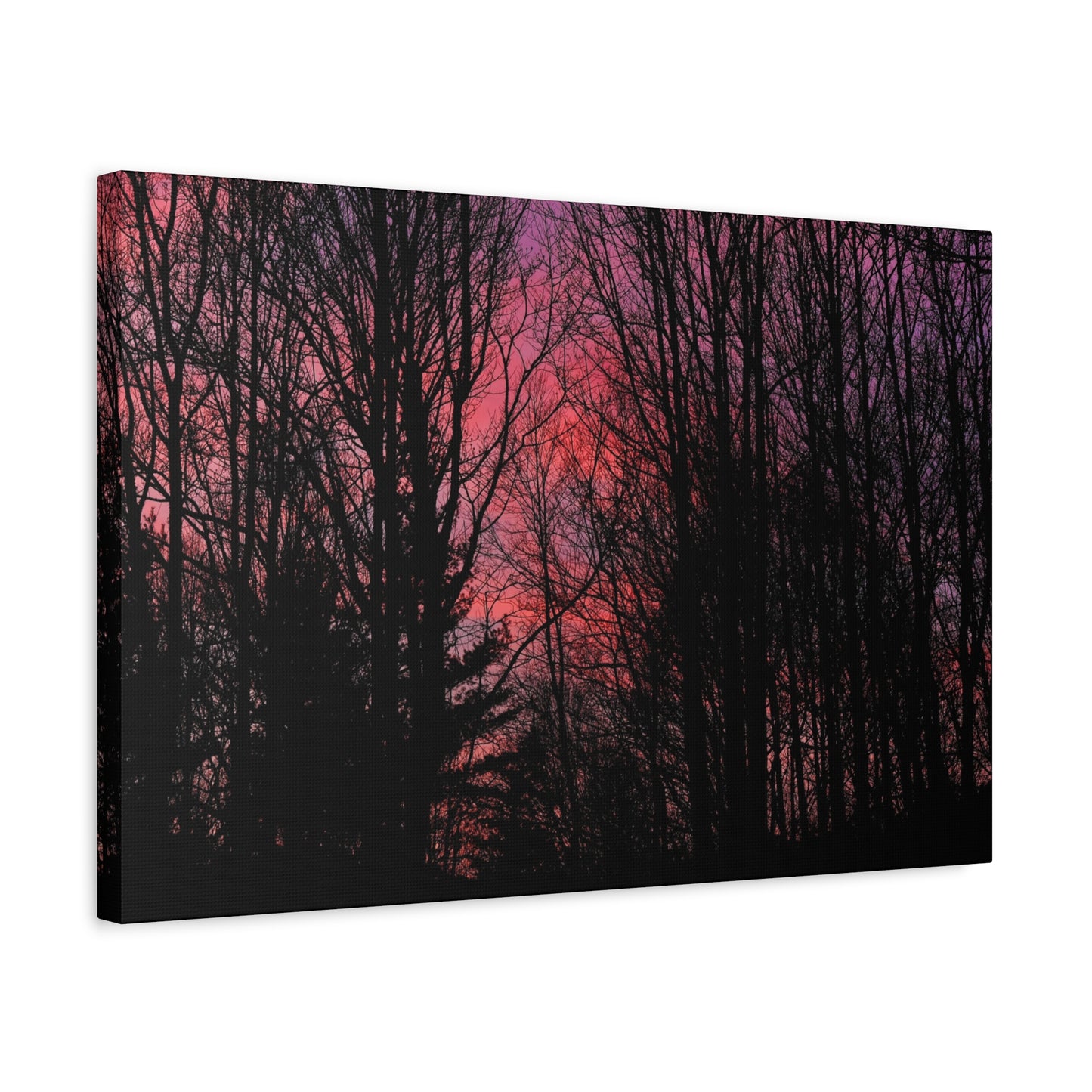 Twilight Forest Silhouette, Soft Pink Sky Print, Calm Moody Nature Wall Art