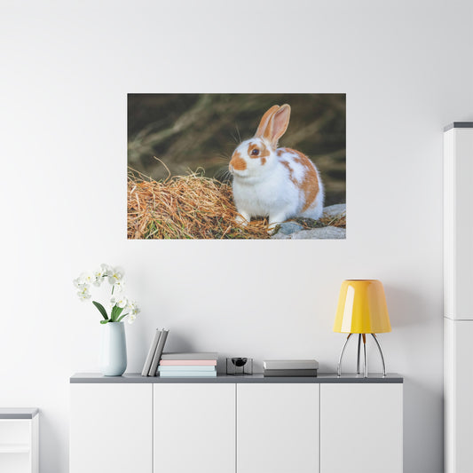 A Quiet Little Rabbit ~ Matte Stretched Canvas Print