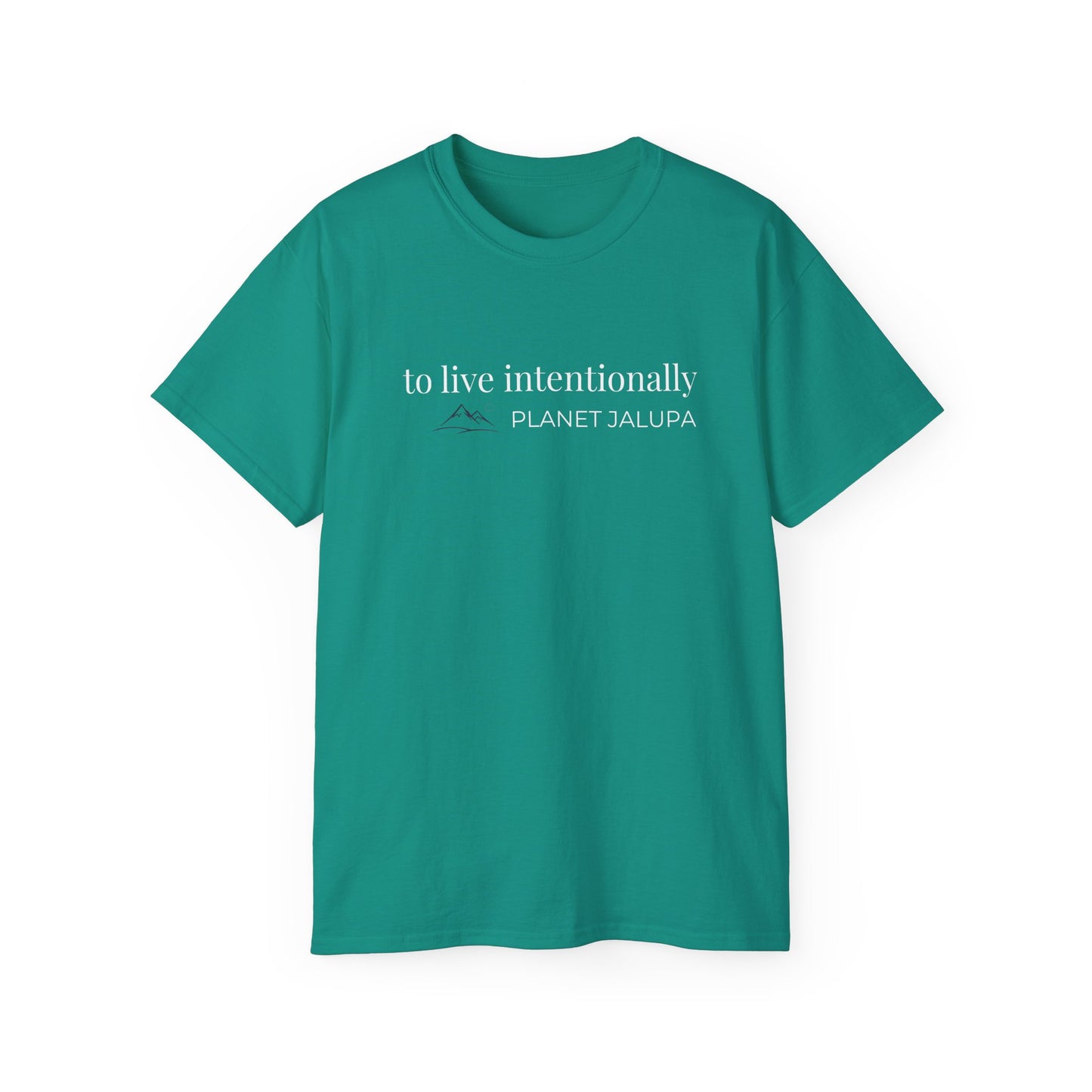 To Live Intentionally ~ Minimal Inspirational T-Shirt