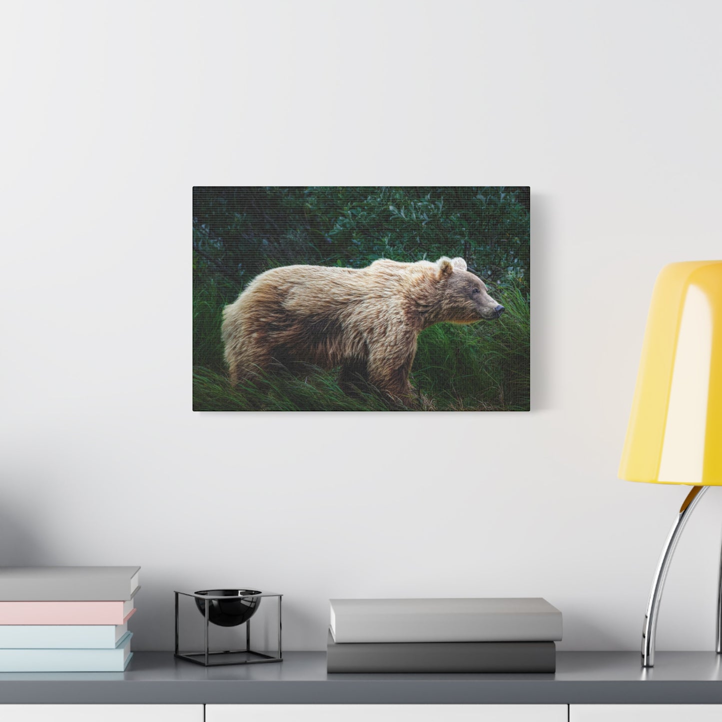 Katmai Brown Bear Canvas Print ~ Wildlife Wall Art Matte Stretched 1.25"