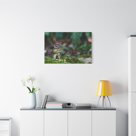 Chipmunk in Moss Matte Canvas Wall Art — Woodland Wildlife Photography Stretched Print