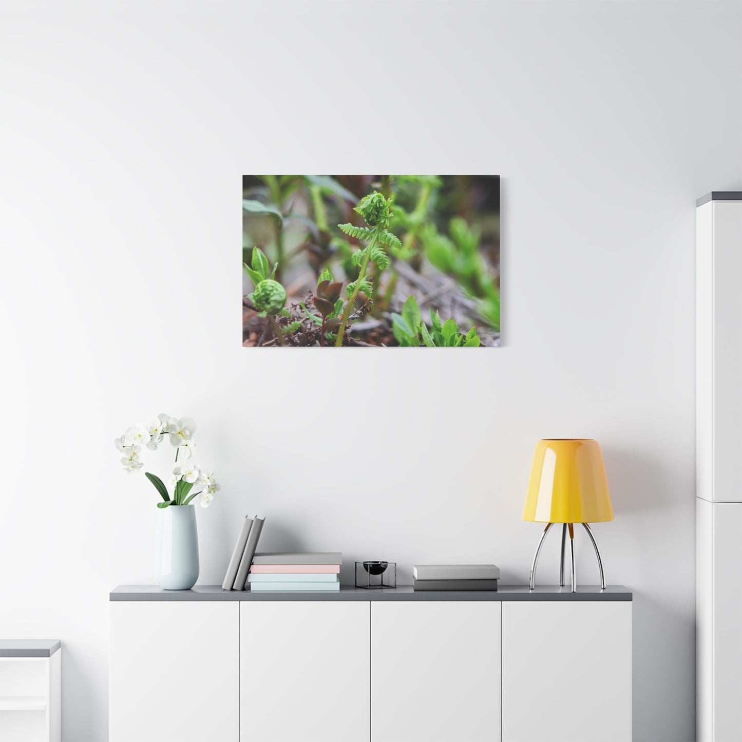 The Unfurling Fern ~ Minimal Botanical Matte Canvas Art