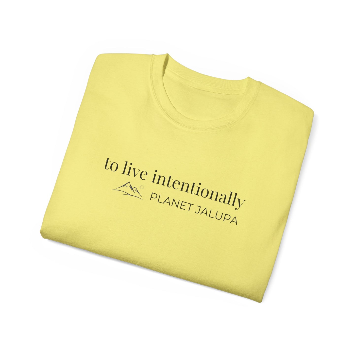 To Live Intentionally ~ Minimal Inspirational T-Shirt