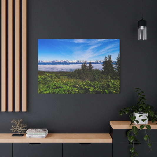 Mountain Meadow Canvas Wall Art ~ Panoramic Alaska Landscape Print