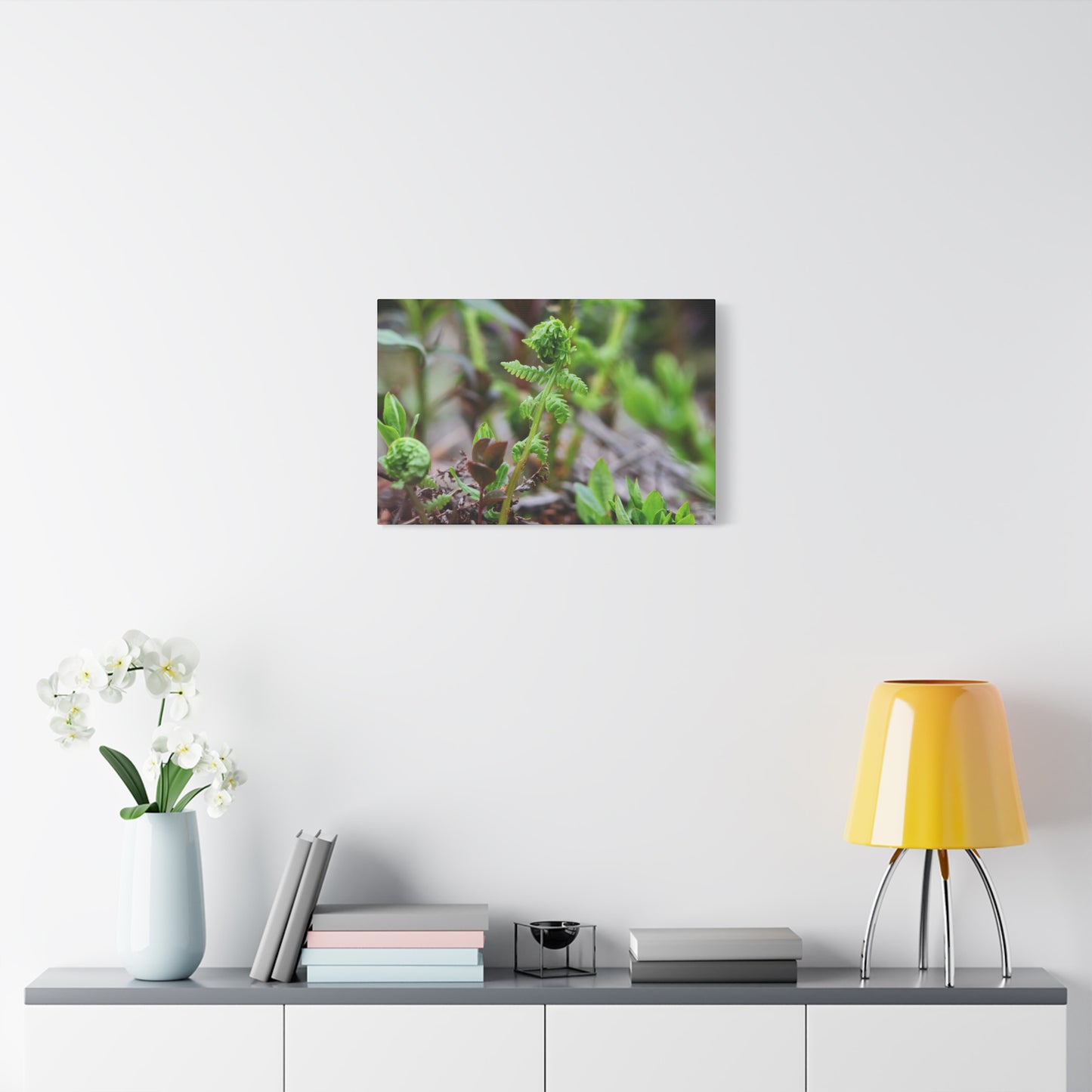 The Unfurling Fern ~ Minimal Botanical Matte Canvas Art