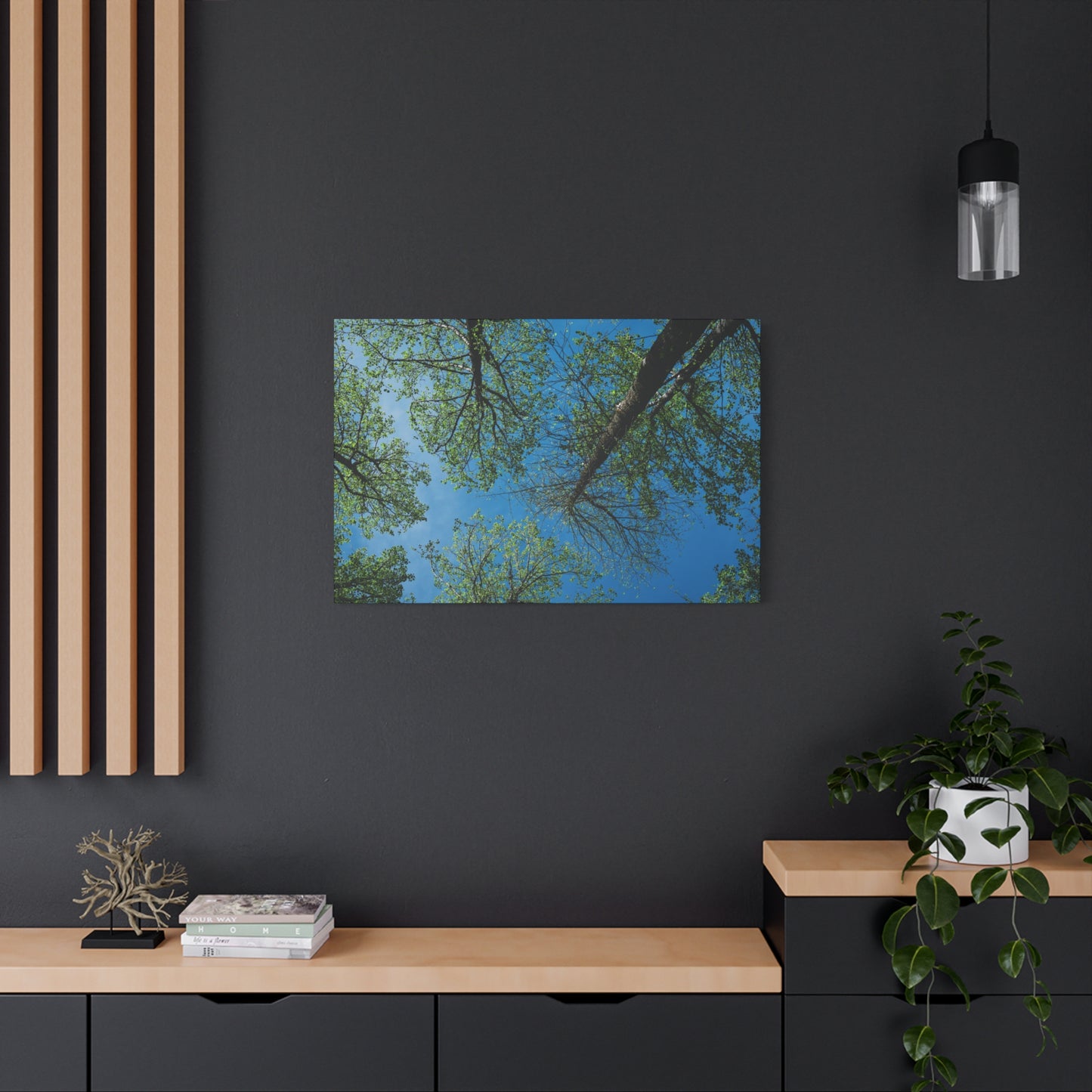 Looking Up Through The Quiet | Stretched Matte Wall Art