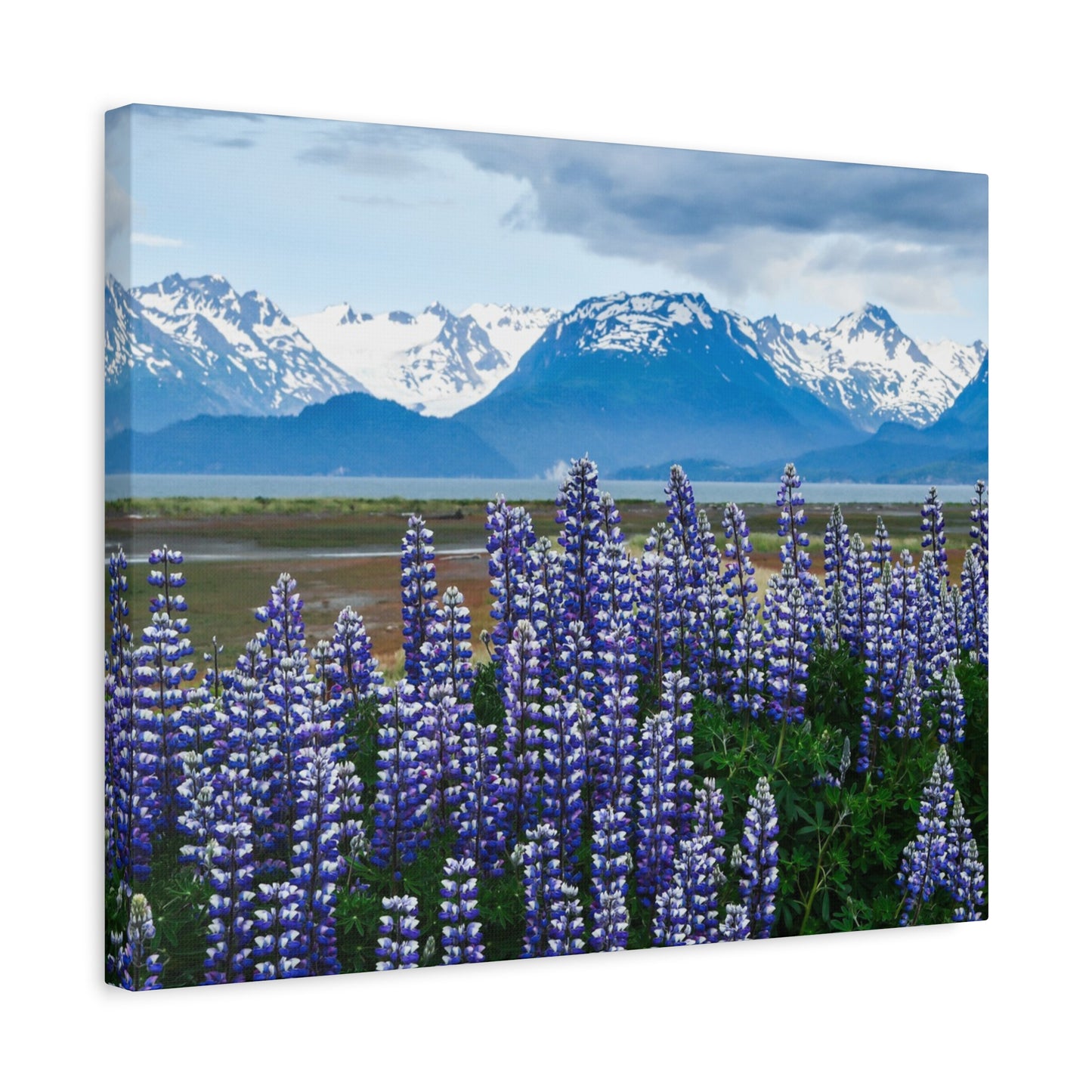 Lupine Coastal Canvas Print — Purple Wildflower Wall Art