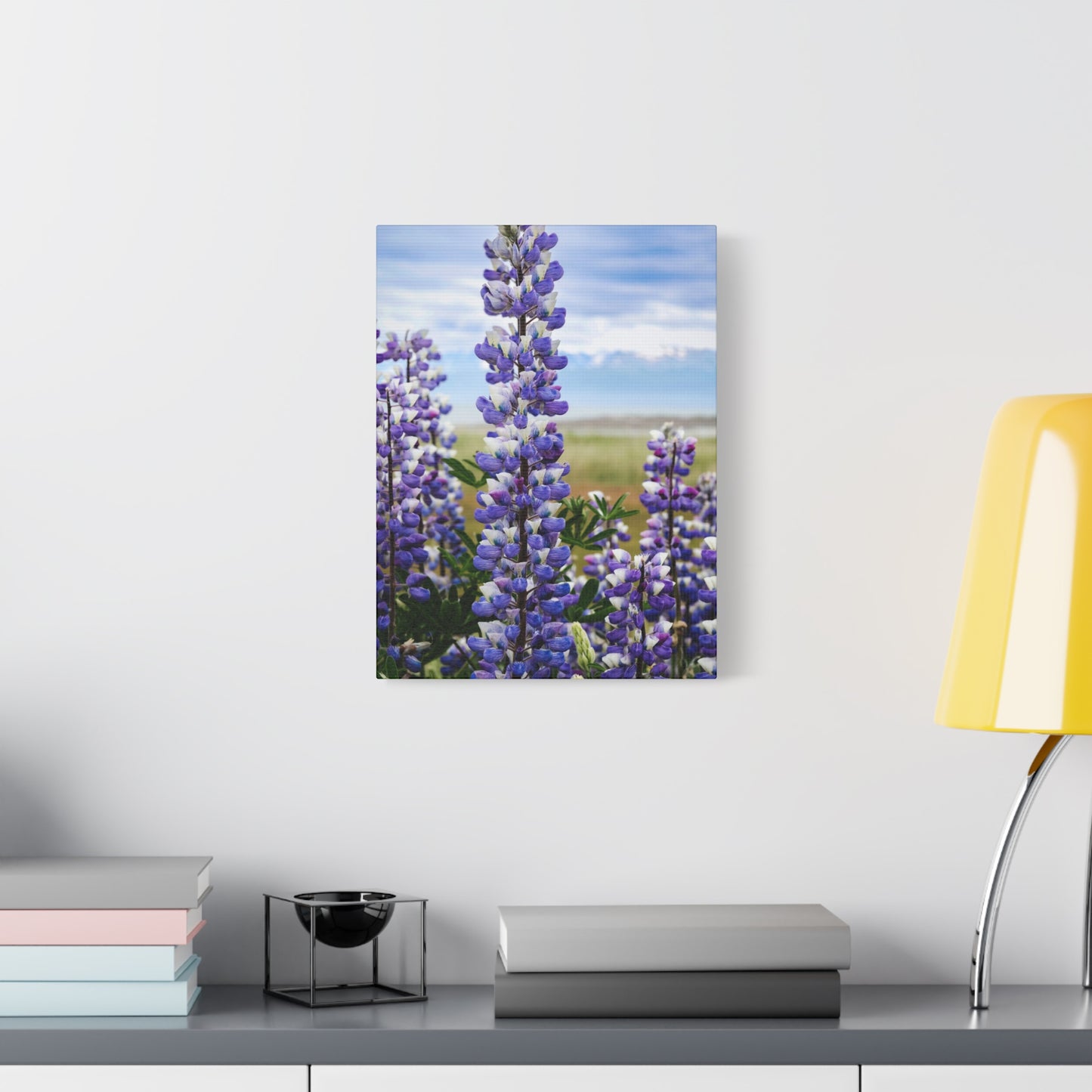 Lupine Field Matte Stretched Canvas