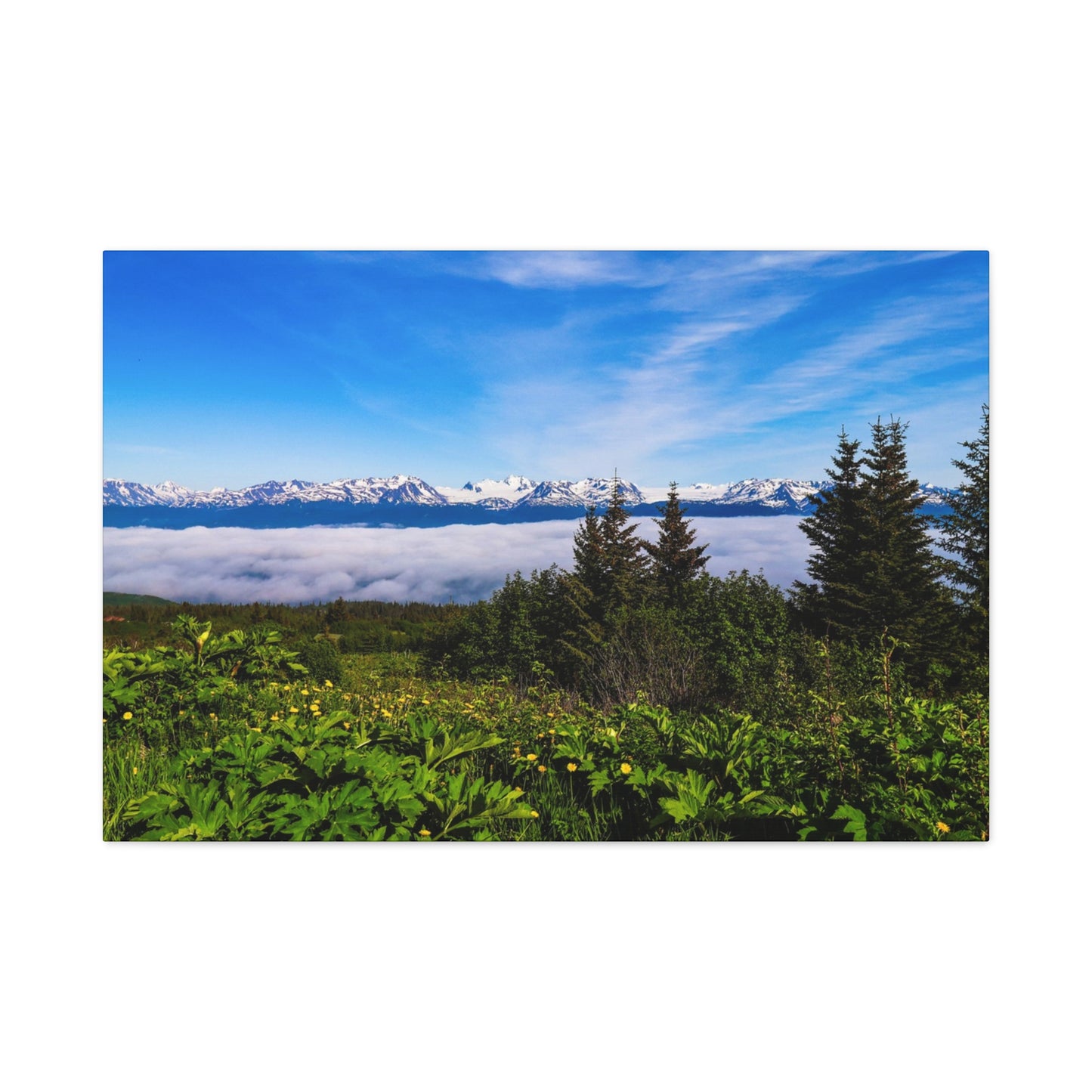 Mountain Meadow Canvas Wall Art ~ Panoramic Alaska Landscape Print