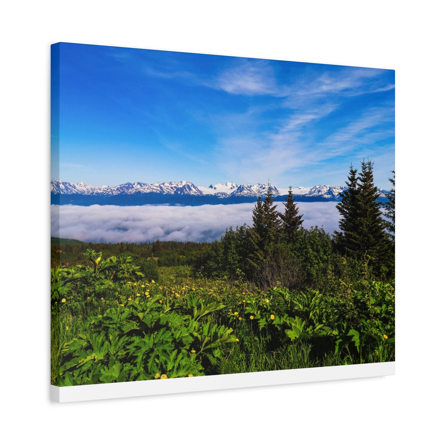 Mountain Meadow Canvas Wall Art ~ Panoramic Alaska Landscape Print