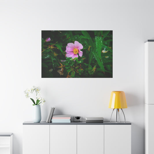 Pink Rosehip Wildflower Dew Matte Canvas Print