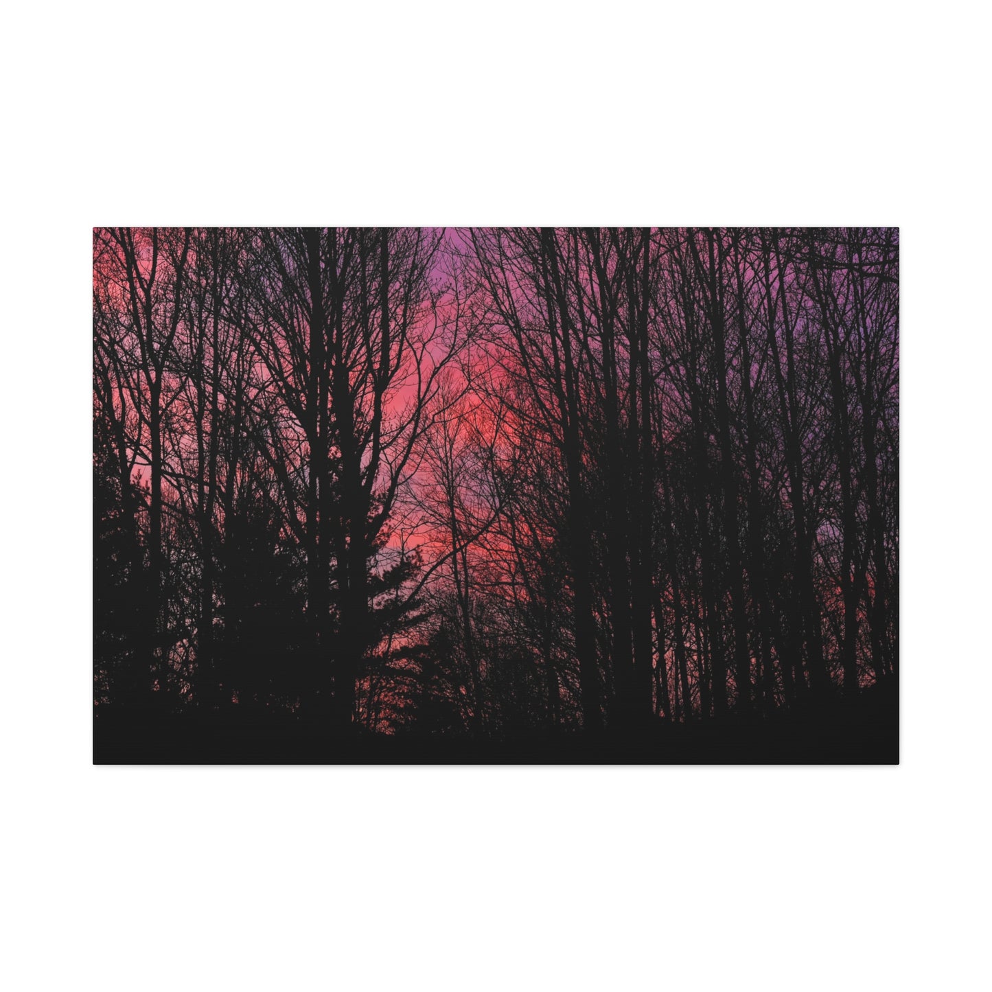 Twilight Forest Silhouette, Soft Pink Sky Print, Calm Moody Nature Wall Art