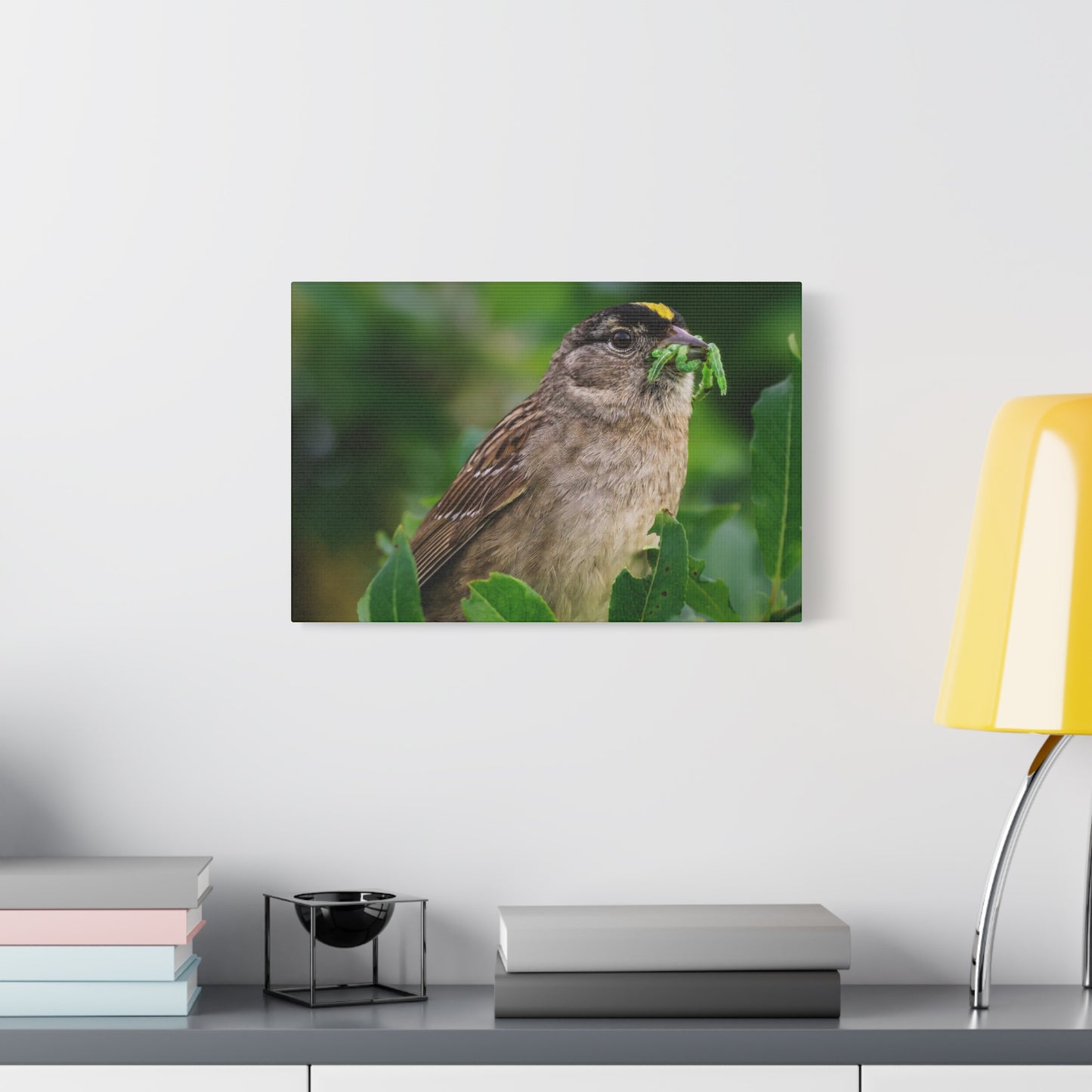 Golden-Crowned Sparrow Canvas Print, Bird Photography Wall Art