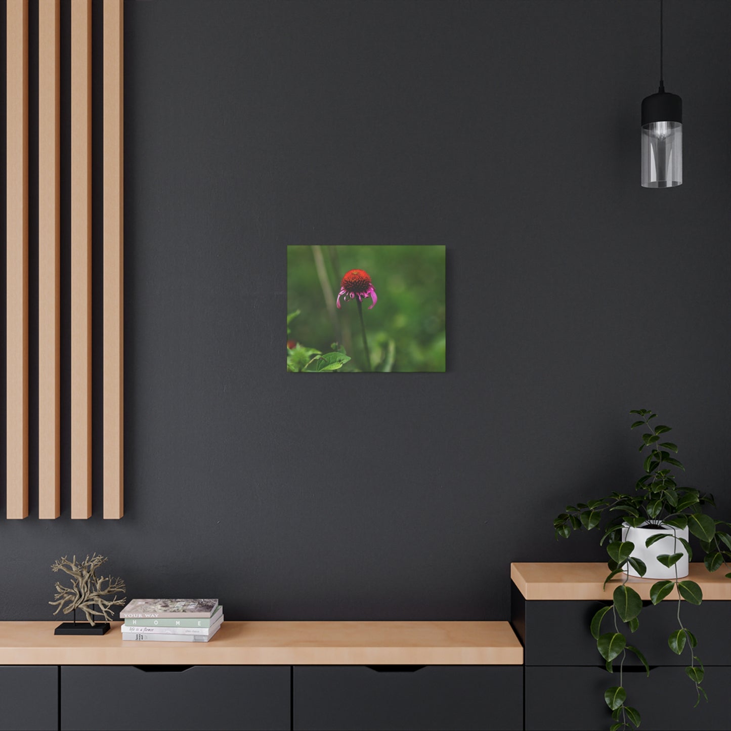 Echinacea Wildflower Canvas Print — Matte Stretched Wall Art