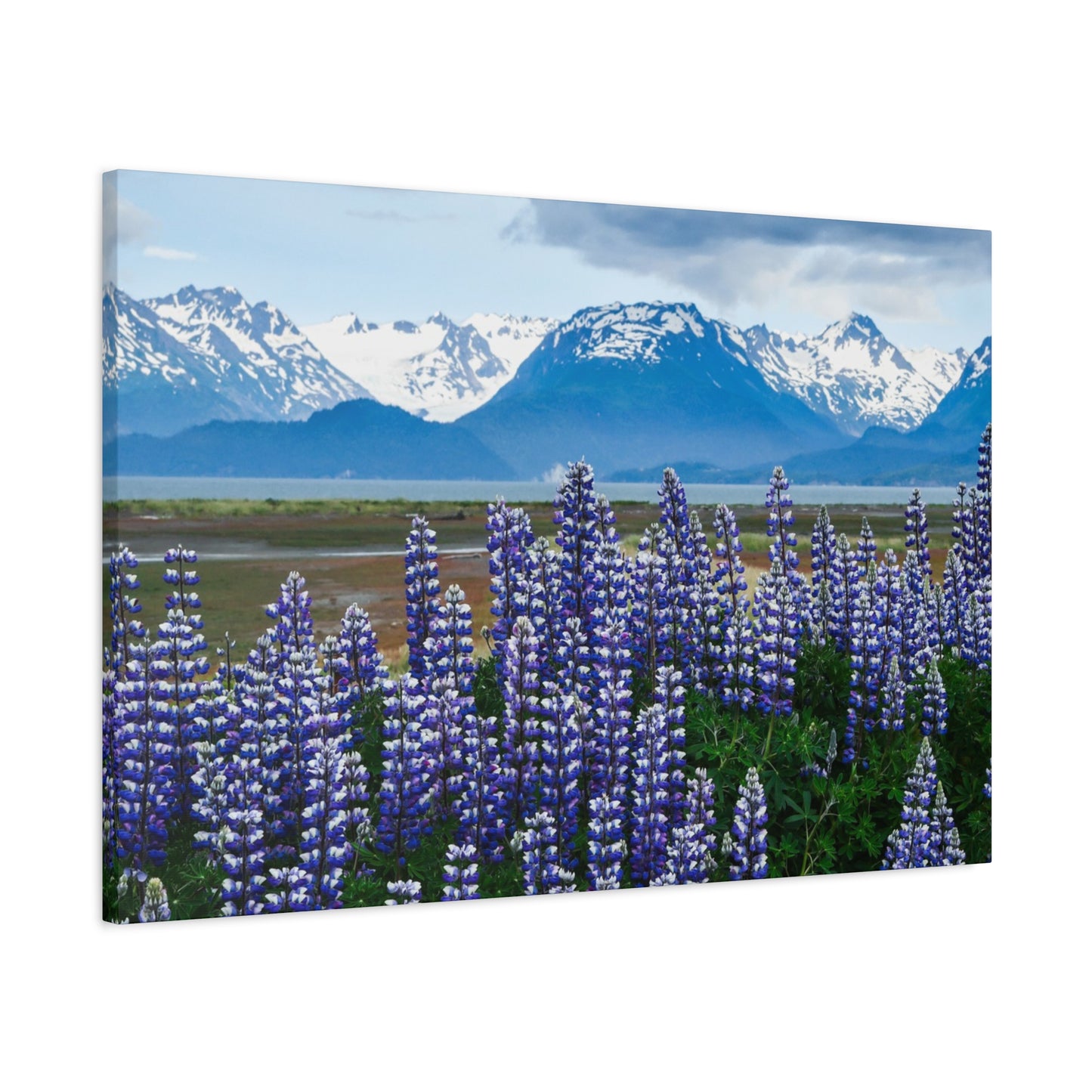 Lupine Coastal Canvas Print — Purple Wildflower Wall Art