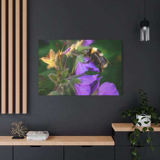 Bee on Purple Flower Matte Canvas Print