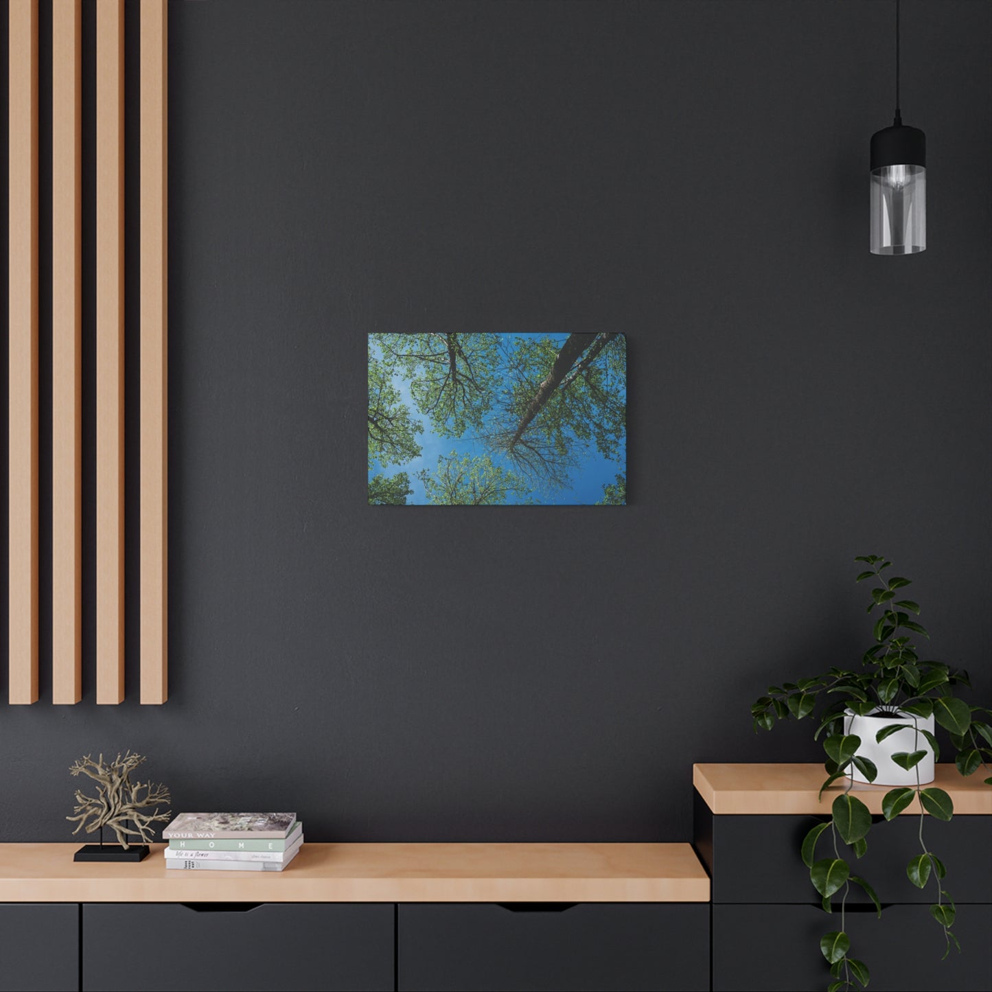 Looking Up Through The Quiet | Stretched Matte Wall Art