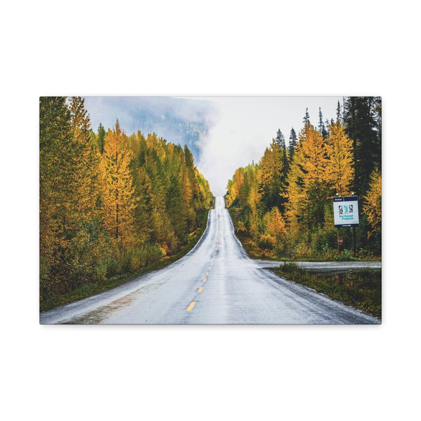 Quiet Roads ~ Cassiar Highway Autumn Canvas Print